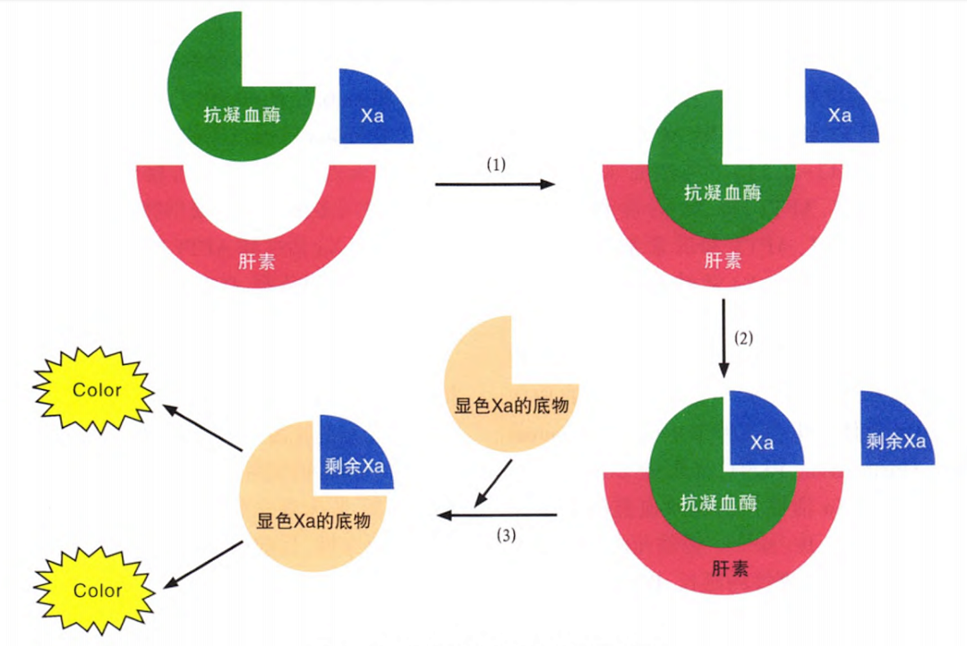 8-long8()Ψһٷվ